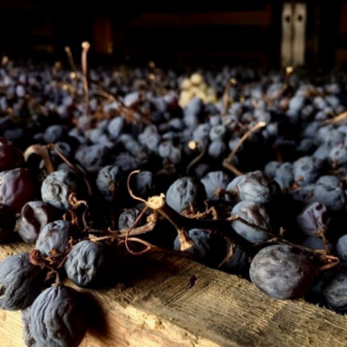 What Does ‘Appassimento’ Mean in Wine? 