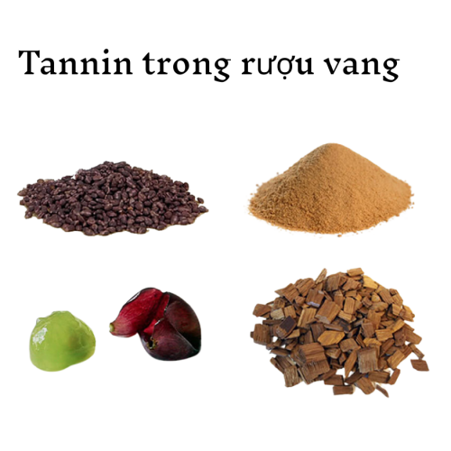 Các Khái Niệm Cơ Bản: Tannin Trong Rượu Vang Là Gì?