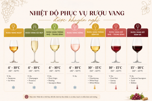 Nhiệt Độ Phục Vụ Rượu Vang Chuẩn – Bí Quyết Uống Vang Ngon Như Chuyên Gia