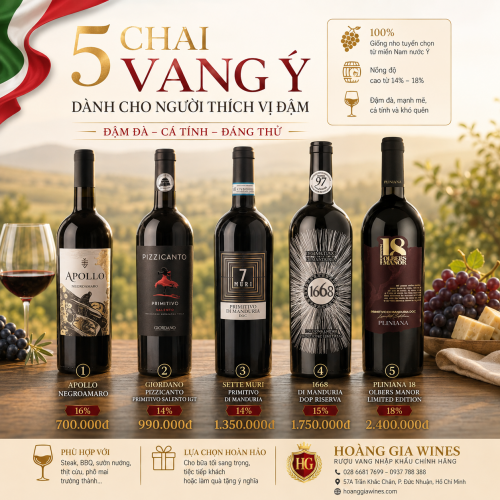 5 Chai Vang Ý Dành Cho Người Thích Vị Đậm – Đậm Đà, Cá Tính Và Đáng Thử