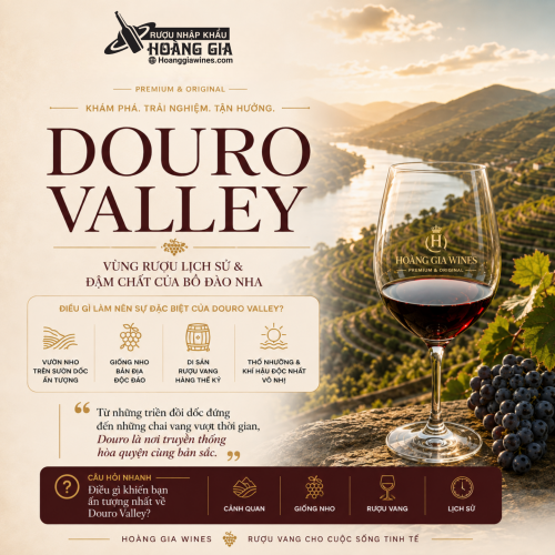 Vang Port Là Gì? Khám Phá Thung Lũng Douro – Cái Nôi Của Port Bồ Đào Nha