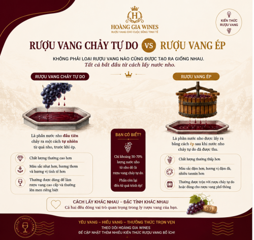 Rượu Vang Chảy Tự Do Và Rượu Vang Ép Khác Nhau Thế Nào