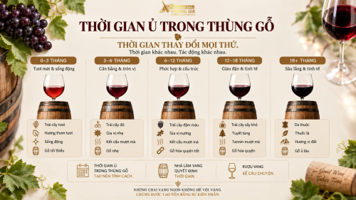 Ủ Rượu Trong Thùng Gỗ Sồi Càng Lâu Càng Ngon? Sự Thật Bạn Nên Biết