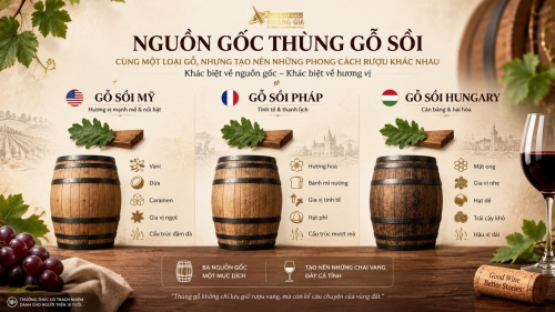 Gỗ Sồi Mỹ, Pháp Và Hungary Khác Nhau Thế Nào? Ảnh Hưởng Đến Hương Vị Rượu Vang