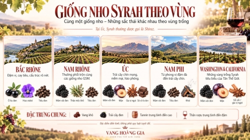 Syrah và Shiraz: Câu chuyện về giống nho và những vùng đất nổi tiếng
