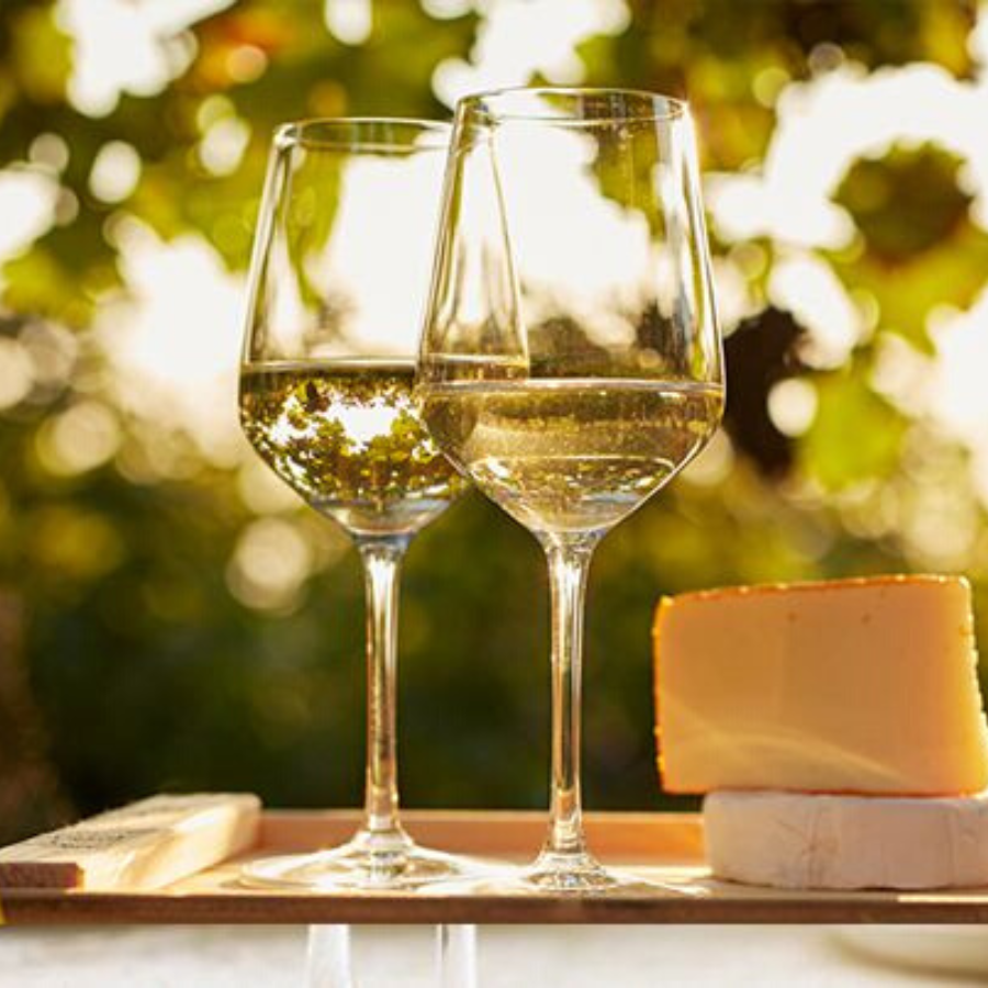 NÊN CHỌN CÁC LOẠI LY UỐNG RƯỢU VANG NÀO PHÙ HỢP