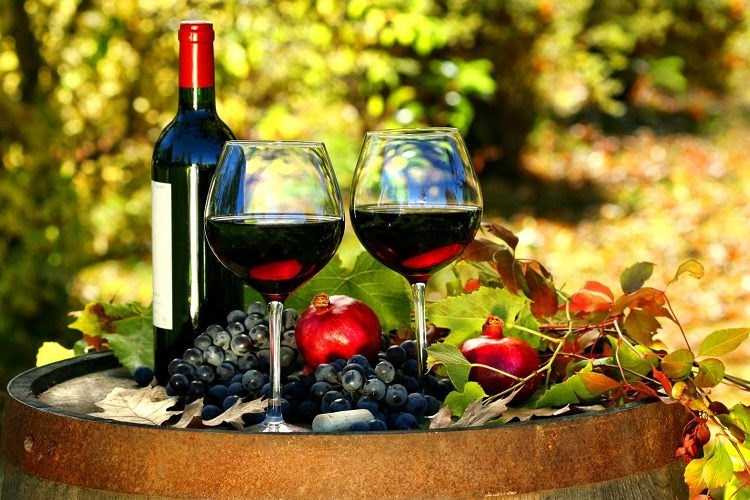 Cách chọn được một chai rượu vang Chile Casa de Piera ngon