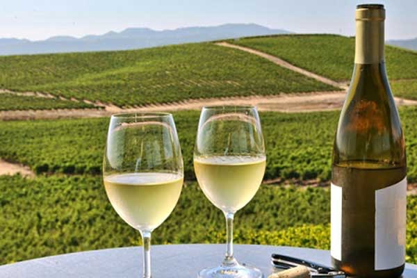 Bạn biết gì về loại rượu vang Pháp Arnaud?